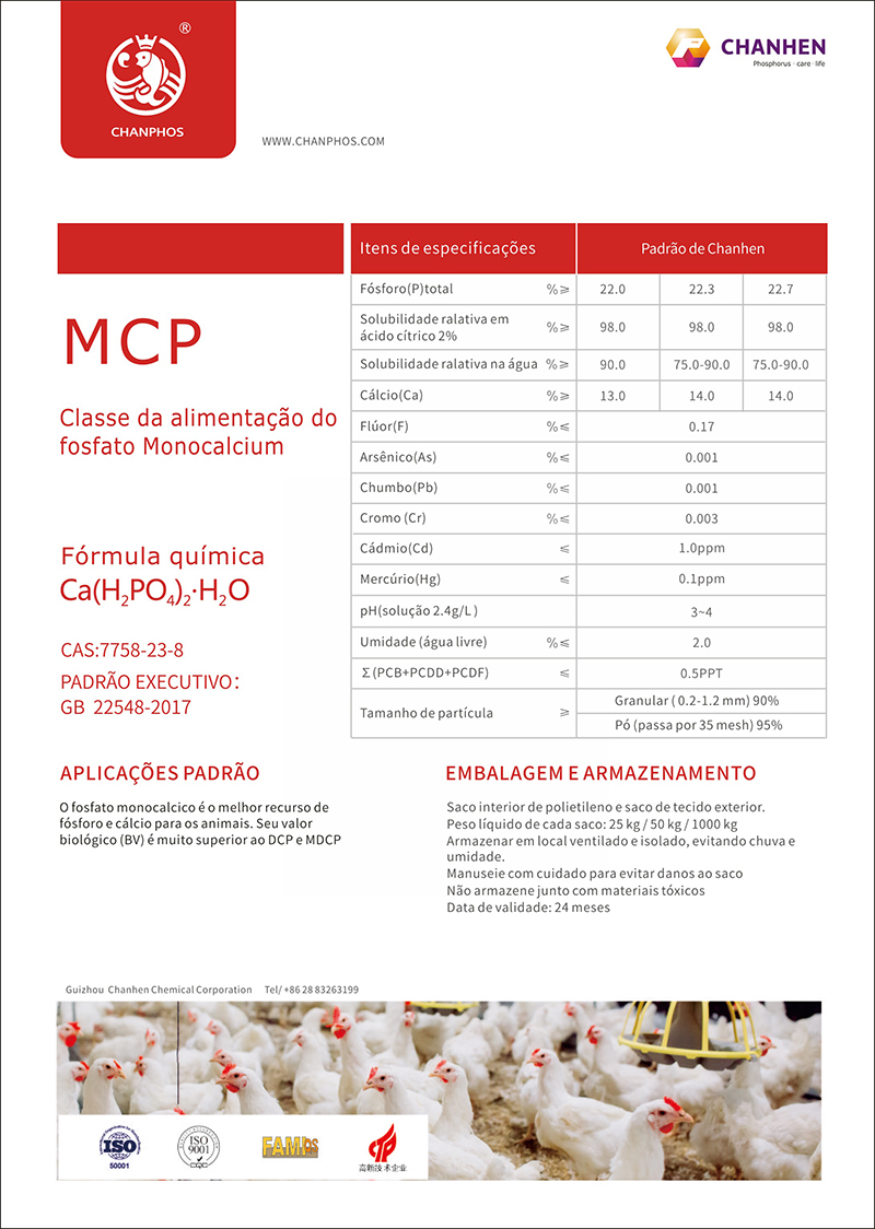 MCP葡萄牙语(1)